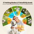 Dog Bark Collar with AI Bark Recognition, Smart Anti Bark Collar for Small Medium Large Dogs, Rechargeable Dog Training 