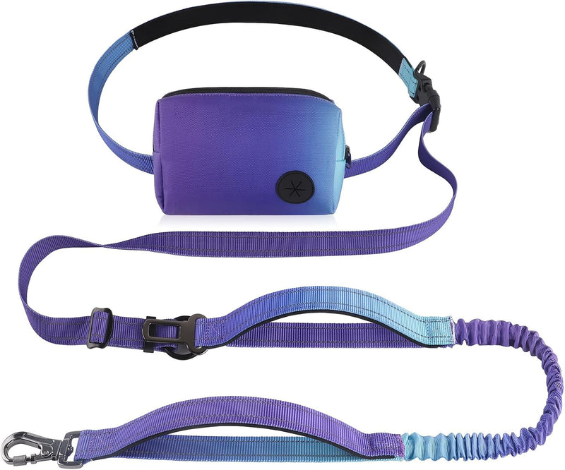 Roses&Poetry Hands Free Dog Leash with Zipper Pouch, 6-9ft Bungee Waist Leash for Medium Large Dogs Walking, Running Lea