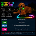 YFbrite 6Ft Light Up Dog Leash, LED & Rechargeable USB-C, 15 Flashing Modes, Waterproof Reflective Dog Leash for Night W