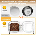 Hannadepot Elevated Cat Bowls, 15° Tilted Glass Raised Cat Food Bowl with Stainless Steel Stand, 2 Large Capacity Glass Cat Bowls and 4 Anti Slip Feet, Suitable for Cats and Little Dogs