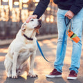 Dog Pooper Scooper, Portable pooper scooper with bag attachment, No Touch for Small Medium Large Dogs