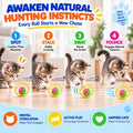 Cat Toys 6 Pack for Indoor Cats & Kittens, Metal Cage Balls with Mice & Bells, Colorful Jingle Bell Ball Toys, Interacti