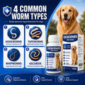 Dewormer for Dog and Puppy, Dog Dewormer Liquid