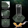 Reptile Water Dispenser Bowl for Bearded Dragon Tortoise