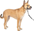 PetSafe Gentle Leader No Pull Dog Headcollar