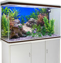 AWERT 30x18 in Aquatic Plant Fish Tank Background Stone Aquarium Backdrop