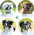 Gentle Muzzle Guard for Dogs - Prevents Biting and Unwanted Chewing Safely Secure Comfort Fit - Soft Neoprene Padding – 