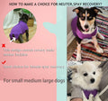 Recovery Suit for Female Dogs, Dog Cone Alternative After Spay