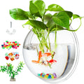 WUWEOT Hanging Fish Bowl, 9'' Acrylic Wall Mounted Fish Tank, 0.5 Gallon Hydroponic Air Plant Flower Pot, Transparency B