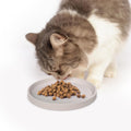 Arespark Pet Silicone Food Mat, Set of 2 Nonslip Waterproof Feeding Bowl Mat with Raised Edges for Food and Water Preven