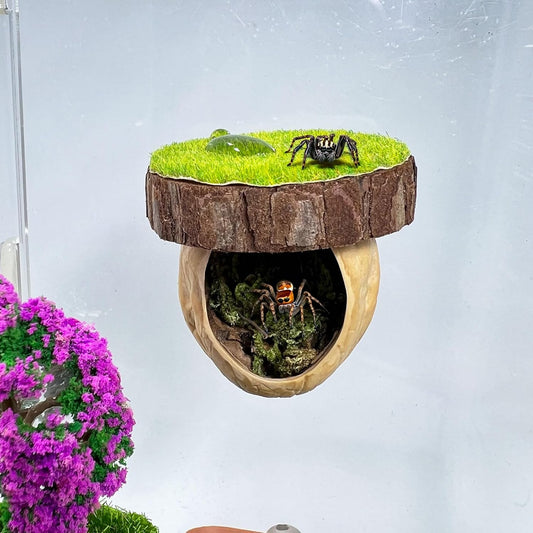 Jumping Spider Hideout - Magnetic Hiding Habitat, Climbing Platform, Handmade Fence Accessory From Natural Materials, Su