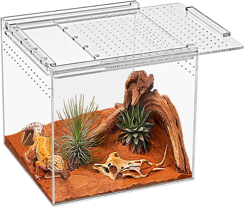 Reptile Terrarium,6.8