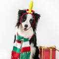 HEYFIZZ Deer Antler Headband,Reindeer Dog Costume for Halloween Christmas