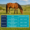 Durable Ventilated Grazing Muzzle with Attached Breakaway Halter - Lightweight Horse Muzzle, Supports Natural Grazing, R