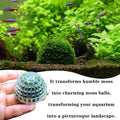 3 PCS Aquarium Moss Ball Holder Professional Aquarium Plant Holder Plastic Moss Ball Fish Tank Plant Holder with Filter 