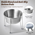 Wellbro Elevated Dog Bowls for Medium&Small Dogs - Stainless Steel 48oz/6 Cups Raised Feeder with Non-Slip Base, Dual Food & Water Bowls 2-Pack