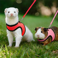 2pcs Animal Harness and Leash, Ferret Harness No Pull Soft Mesh Red Pink,S