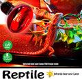Infrared Heat Lamp Bulbs 75W 2 Pack,Red Basking Spot Light Bulb Reptile Heating lamp for Bearded Dragon,Turtle,Snake,Leo