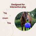 Horsemen's Pride 14" Jolly Tug Horse Toy, Blue (JT14 B),All Breed Sizes