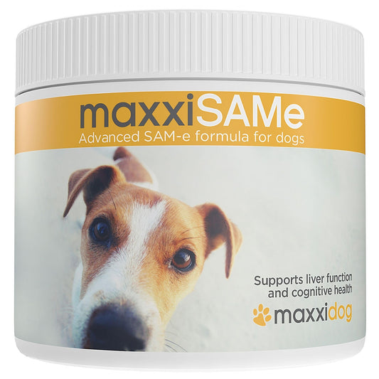 maxxipaws maxxiSAMe Advanced SAM-e Powder Supplement - Liver, Cognitive & Joint Support for Dogs, 5.3oz