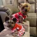 XPUDAC 4 Pieces Dog Dress Girl Clothes for Dogs Girl Flower Dresses for Small Dogs Apparel Colorful Small Dog Clothes Fe