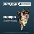 Nutramax Dasuquin MSM Joint Supplement, Large Dogs Chewable Tablets, 150ct