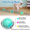 Waaiio Interactive Cat Toys for Indoor Cats,Automatic Moving Cat Ball in Pouch,Chirping Stimulation,Hide-n-Seek Chase Exercise Game,Motion Activate,Rechargeable Kitten Toys
