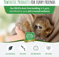 Small Pet Select Premium Small Animal Bedding, Natural Soft Paper Bedding for Small Indoor and Outdoor Pets, Made in USA