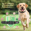 4 Pack Dog Flea Collar, Flea Collar for Dogs