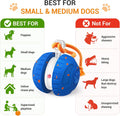 Pamlulu Interactive Dog Toy for Small & Medium Dogs, Fun Enrichment Puppy Toy to Keep Them Busy, Automatic Moving Dog Ba