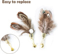Cat Insect Feather Toys Replacement Cat Toy Wand Refills, 6 Pieces Natural Insect Cat Toy Feathers Refill, Interactive C