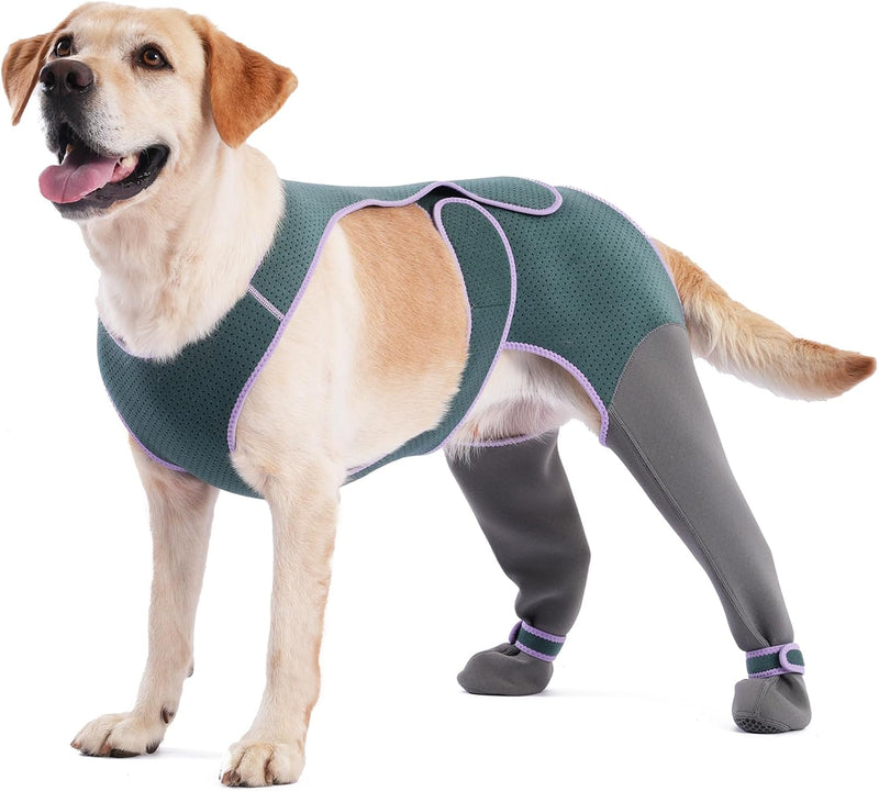 Dog Socks to Prevent Licking Paws, Breathable Soft Wound Protector for Dog's Back Legs, Anti-Slip Paw Cover Boots for In