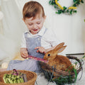 Sofier 32Pcs Timothy Hay Sticks 320g for Rabbit, Guinea Pig, Hamster - Natural Handmade Treats and Chews for Teeth - Chi