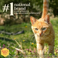 Burt's Bees for Pets Cat Dander Reducing Spray, Oat & Honey, 10 Fl Oz