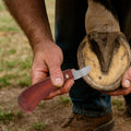 2 Pcs Professional Hoof Trimming Kit, Hoof Knife with Sharpener, Dual Grit Diamond Sharpening Rod, Ergonomic Handle for 