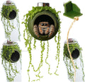 4Pcs Jumping Spider Enclosure Accessories Cocoon-Shaped Jumping Spider Hideaway with Artificial Moss and 1 Pcs Resting P