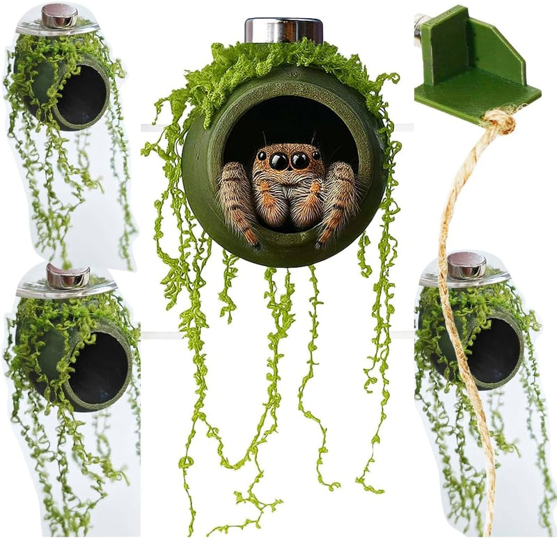 4Pcs Jumping Spider Enclosure Accessories Cocoon-Shaped Jumping Spider Hideaway with Artificial Moss and 1 Pcs Resting P