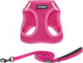 Best Pet Supplies Voyager Step-in Air All Weather Mesh Harness and Reflective Dog 5ft Leash Combo with Neoprene Handle, 