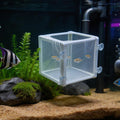 MY MIRONEY 6.3" x 5.63" x 6.22" Fish Incubator Mesh Box Pack of 2