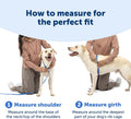 PetSafe Easy Walk Comfort No Pull Dog Harness, Blue, Medium
