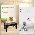 COMESOON Elevated Dog Bowls for Small Medium Dogs, 3 Height Adjustable Raised Stand with 2 Thick 6" Stainless Steel Food