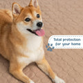 EZwhelp Reusable Dog Pee Pads, Washable Waterproof Mat 60x60 in, 1-Pack