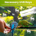 GlowUp 2.4% UVB Bulb for Birds, 20W Compact Fluorescent Light Bulb UVA UVB Light Bulbs E26 for Captive Birds and Reptiles