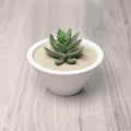 Royal Ram 1 Pound Natural Decorative Real Sand - for Interior Decor, Vase Filler, Sand Crafts, Aquariums, Terrariums, Ga