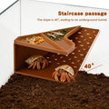 Hermit Crab Cave Habitat with Climbing Tunnel, 2-in-1 Cave Shelter & Feeding Dish, Textured Climbing Ramp & Viewing Wind