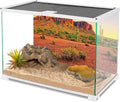 AWERT 36x18 in Terrarium Backdrop Desert Cactus Reptile Habitat Background