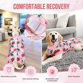 Nasjac Dog Surgery Recovery Suit - Zipper on Recovery Onesie for Female Dog