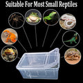 Critter Keeper 2-Pack, Cricket Cage & Reptile Feeding Box 12.59"x8.66"x5.9" Transparent Portable Plastic Snake Habitat E