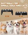 Jovrun Elevated Dog Bowls for Small Dogs and Cats, Non-Slip Cat Bowls with 2 Thick 5.5" Stainless Steel Dishes, Dog Feed