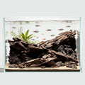 Aquarium Driftwood Shrimp Wood Natural Trunk & Assorted Branches 1.9-3.9" (5-10cm) Terrarium Ornament for Fish, Shrimp &